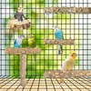 Bird Perches,4pcs Natural Wood Birds Stand Branch, Bird Perch Chewing