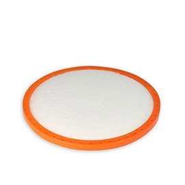 mistervac Motor Protection Filter Compatible with Dirt Devil M2831 CENTEC