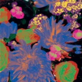 Warp Records Darkstar - Timeaway [New 12" Vinyl]