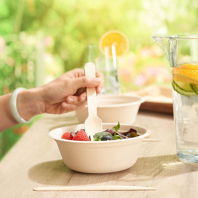 HAAGO 300 Environmentally Friendly Sugar Cane Bowls Biodegradable & Compostable