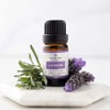 Vitality Extracts Lavender Essential Oil - Natural Calm, Stress Relief,