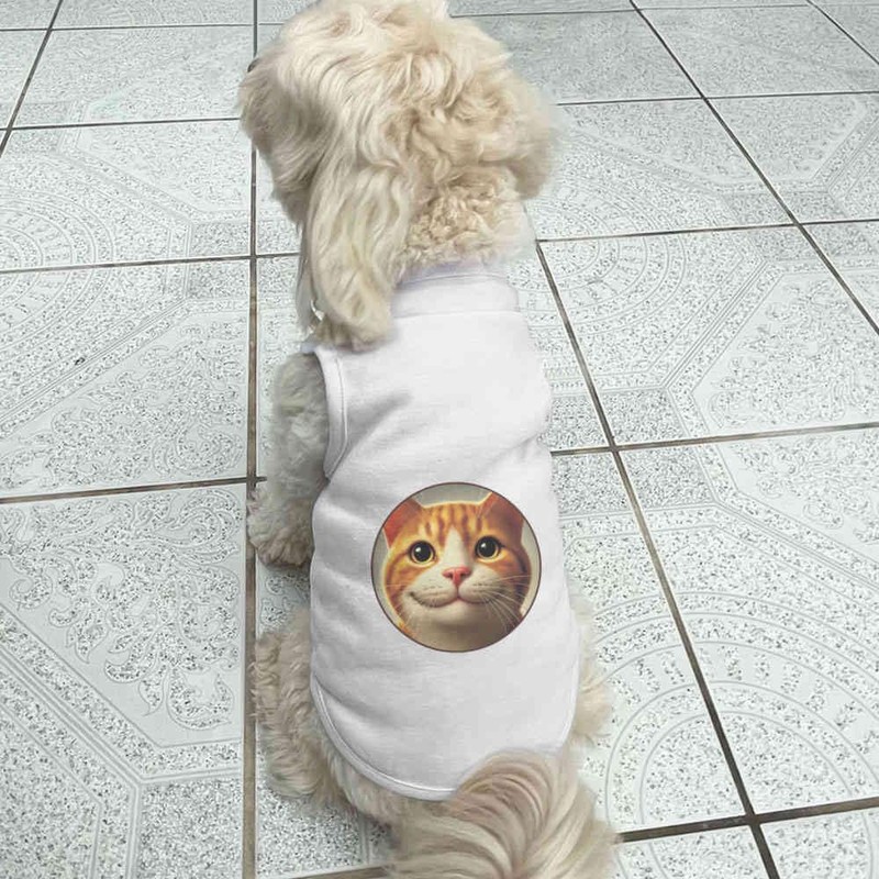'Smiling Ginger Cat' Pet Dog/Cat T-Shirt (PT00146203)