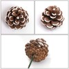 Cooraby 20 Pieces 2 Inch Christmas Natural Pine Cones Snow