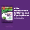 Scotts Turf Builder Bonus S Southern Weed & FeedF2 -