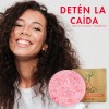 Shampoo Orgánico Sólido Anticaída Árbol Verde Con Romero Y Sábila