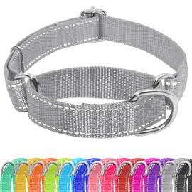 Seyezo Martingale Dog Collar, Slip Martingale Collar for Dogs with No Buckle, Reflective Pet Trainning Collar for Small Medium Large Dog, Adjustable Heavy Duty Nylon No Pull Slip Collar, XS, Grey
