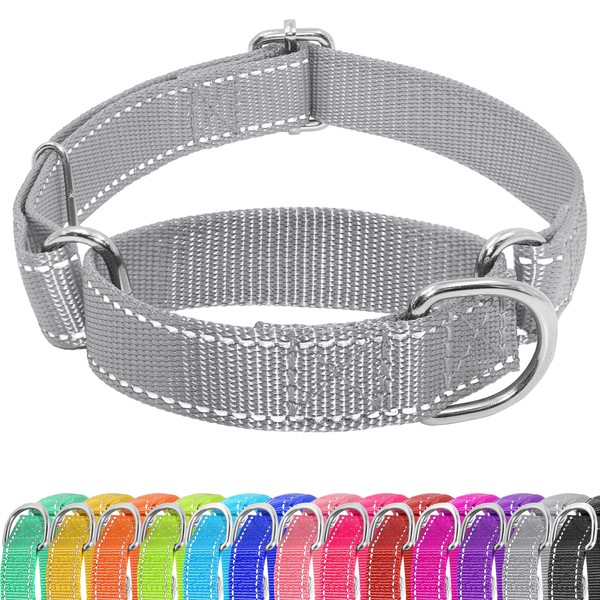 Seyezo Martingale Dog Collar, Slip Martingale Collar for Dogs with