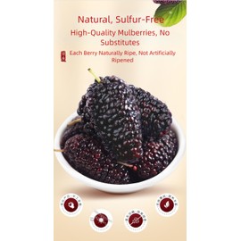Dried Black Mulberries, No-Wash Dried Mulberry Fruit, Large,Traditional Whole Dried Fruit Snack 500g (17.6oz) 桑葚干 (Dried Mulberries)