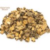 Gentian Root and Green Tea Herbal Infusion (Sencha - 25