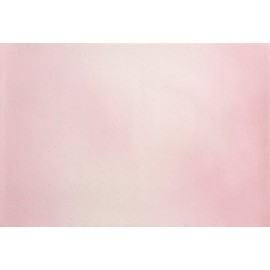 Annotation 料紙 (The Half Paper Paper 50 Sheets (5 Pattern, 10 of each)