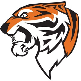 Tiger Temporary Tattoos, 25 Pack Spirit Stickers