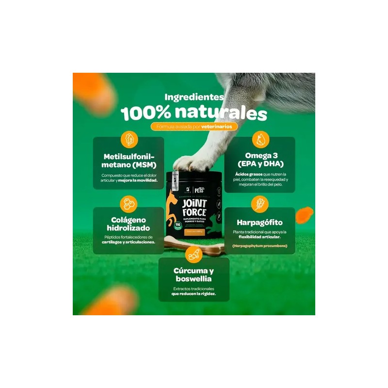Suplemento B Life Joint Force Colágeno Cápsula 416g