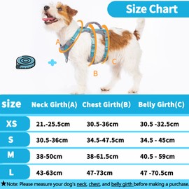 Huntboo Reflective Dog Harness with Handle, Escape Proof, No Slip, Breathable, Lightweight, Adjustable Lift Harness for Small, Medium, and Large Dogs Walking, Training, and Running Gear(Teal Blue,S)