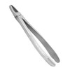 Hand Plier for Dentistry Use, Made high Grade Stainless Steel,