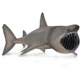 Collecta Pilgrim Shark - XL - 88914 Collectible Figure (Deqube 90188914)
