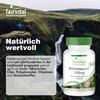 Fairvital Burdock Root 500 mg - Burdock Root + Zinc