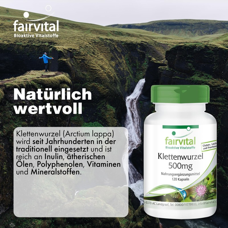 Fairvital Burdock Root 500 mg - Burdock Root + Zinc