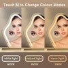 Cloud-Shaped Makeup Mirror with Lights,NO Assembly Required,Painted Gold/Black, 3 Color