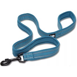 Truelove Reflective Padded Dog Leash Blue Large 78.7 Inches Long x 1 Inch Wide