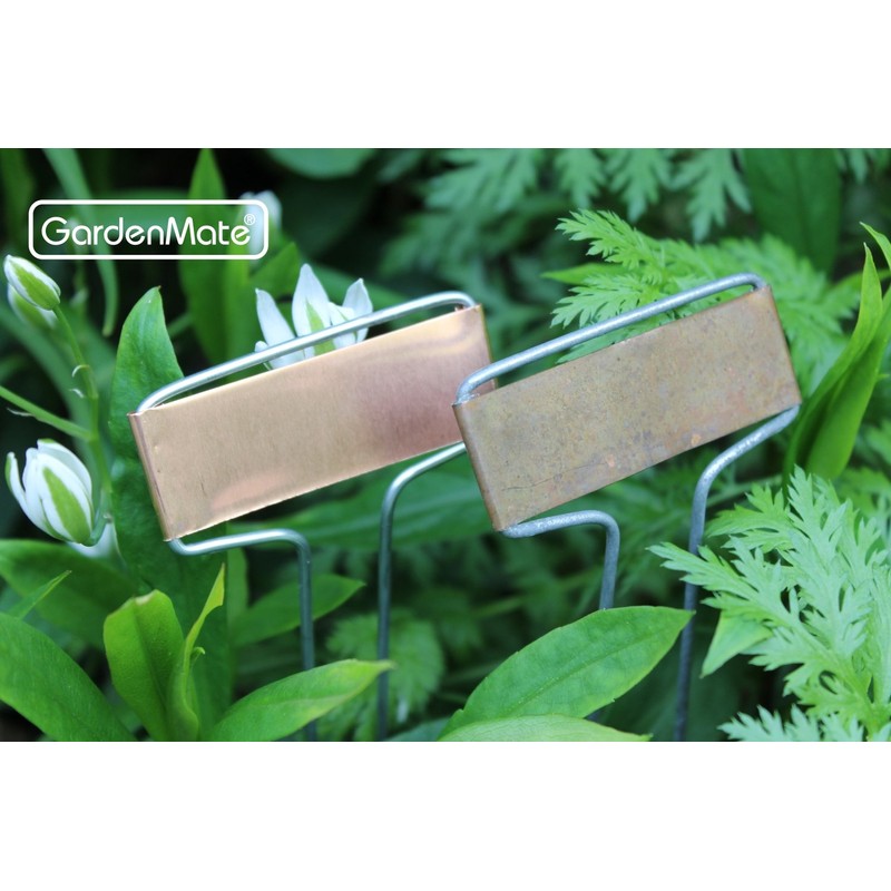 GardenMate 50-Pack Weatherproof Banner Copper Metal Plant Labels, Height 10.5",