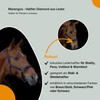 Marengos - Diamond Leather Headcollar | Halter for Horses |