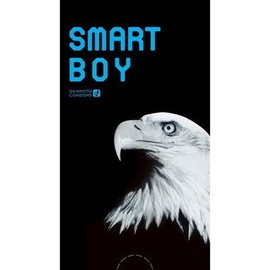 オカモト スマートボーイ 12個【2個セット】