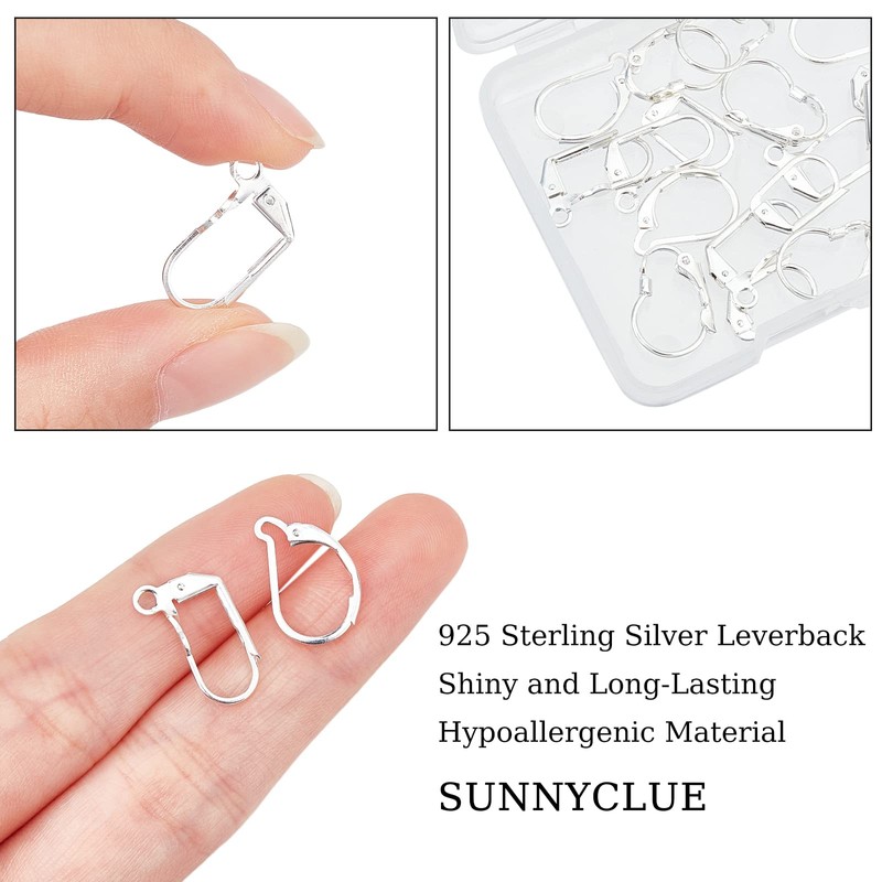 SUNNYCLUE 1 Box 24 Pieces 4 Styles Leverback Earring Accessories