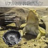 Reptile water bowl, natural rock design water tray, lizard, turtle,