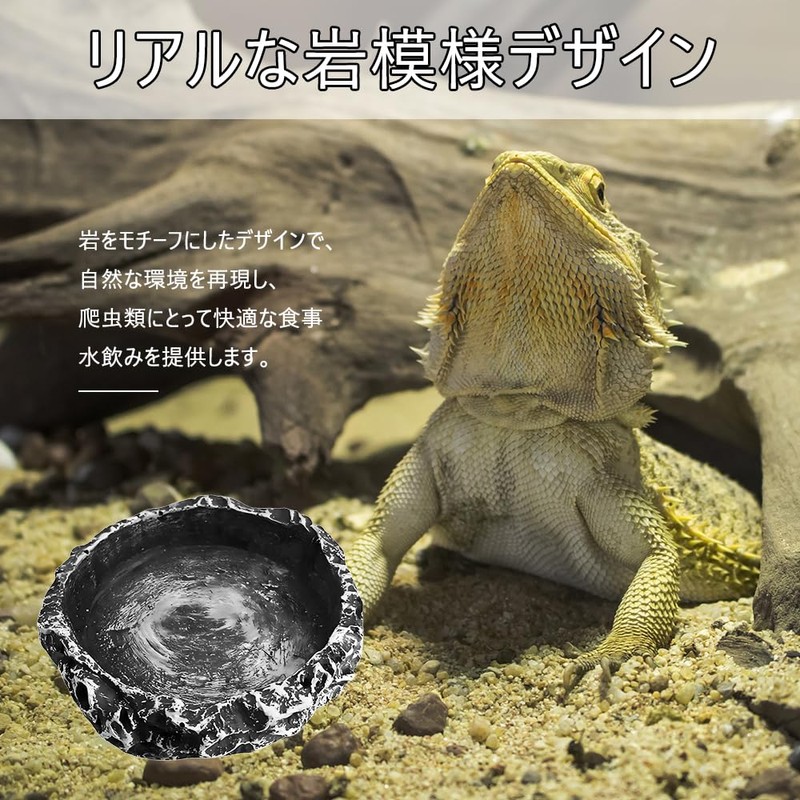 Reptile water bowl, natural rock design water tray, lizard, turtle,