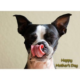 Boston Terrier Dog Mothers Day Greeting Card