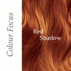 Desert Shadow Organic Hair Dye, Honey Shadow 100g