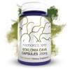 Nootropics Depot Ecklonia cava Capsules | 250mg | 0.5% Dieckol