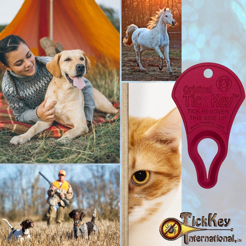 The Original Tick Key -Tick Removal Device - Portable, Safe