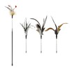 TTcat Cat Wand Toys, Flexible Spring and 4PCS Cat Feather
