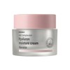 Hanskin Real Complexion Hyaluronic Moisture Cream 50ml / 한스킨 리얼