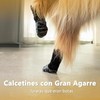 Calcetines Antideslizantes para Perros, Zapatos para Perros, Talla M