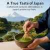 Herbal Cup Té Matcha japonés orgánico (té verde matcha, 113