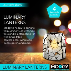 MODGY Luminary Lanterns 4-Pack - Floating LED Candles with Batteries Included - Luminaries are Great for Weddings, Parties, Patios & Celebrations of All Kinds (Louis C. Tiffany Magnolia Window)
