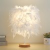 Meichoon Feather Table Lamp USB Plug-in LED Decorative Ambient Night