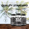Wild Activated Charcoal Capsules from 100% Organic Coconut Shells -