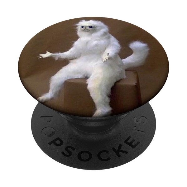 Meme Cat Sitting Wondering What happened Cool Picture Design PopSockets
