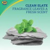 Zep Home Pro Pro-Strength Stain Eliminator Toilet Bowl Cleaner -