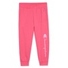Champion Girls Hoodie and Sweatpant Set for Kids Athletic Fleece