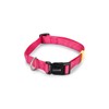 Beeztees Nylon Uni Dog Collar, 48, 70 x 2.5 cm,