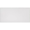 Lithonia Lighting CPX 2x4 LED Flat Panel Light, 2 Ft.