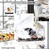 Window Bird Feeder – Clear Acrylic Bird Feeder with Suction