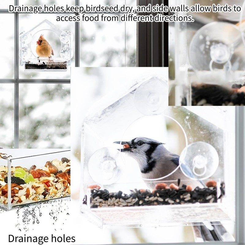 Window Bird Feeder – Clear Acrylic Bird Feeder with Suction