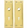 Pair of Brass Plated New York Style Back Plates with