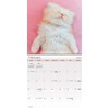 2025 Cuddly Kittens Mini Wall Calendar