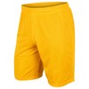 CHAMPRO Dynamic Tricot Mesh Shorts, 7" Inseam, Gold